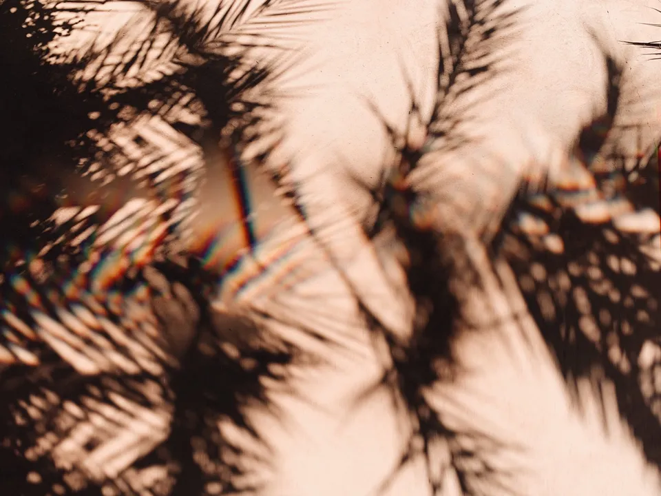Sergine · archived work